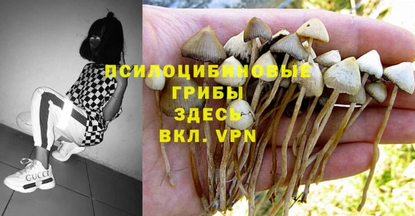 альфа пвп Каменск-Шахтинский