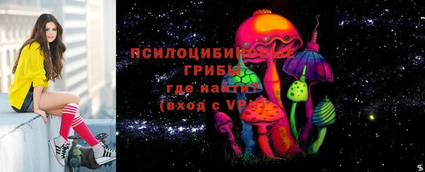 марки nbome Каменногорск